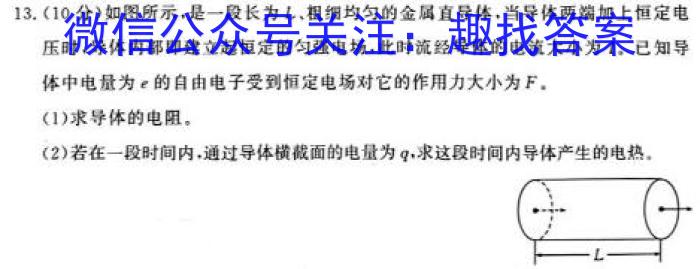 河北省2023-2024学年第一学期高一年级期中考试数学