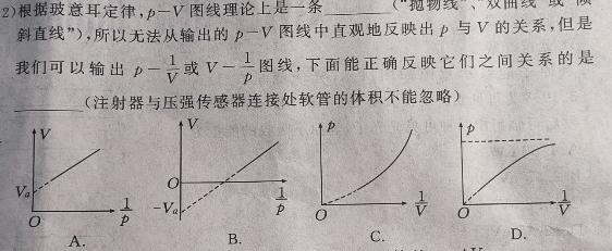 四川省自贡市解中2024-2025学年度九年级（上）开学考试试题(数学)