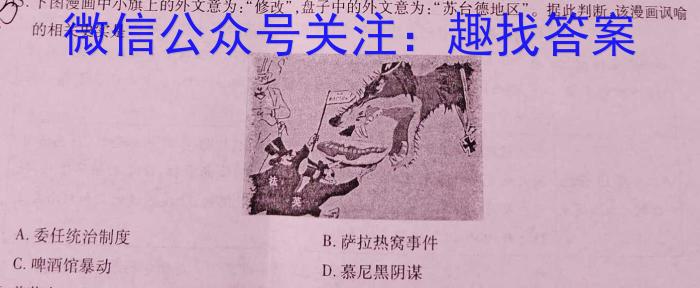 2024届河南省顶尖计划高三联考（一）历史