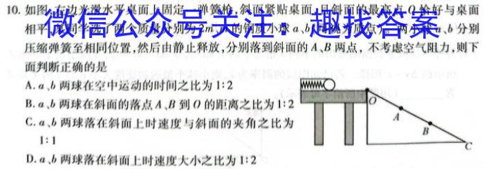 2024年湖北省新高考信息卷(一)数学