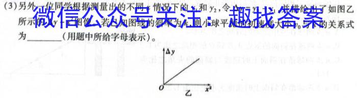 陕西省2024届九年级仿真模拟示范卷（三）数学