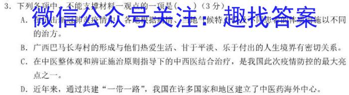 山西省临汾市襄汾县2022-2023学年度第二学期素养形成期末调研测试（D套）语文