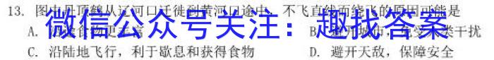 2023~2024学年云南省高三开学考(24-08C)政治试卷d答案