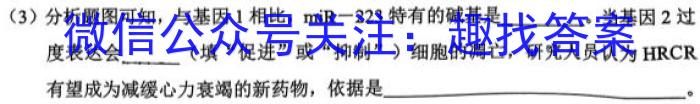 湖北省2024届高三年级8月联考（24-03C）生物试卷答案