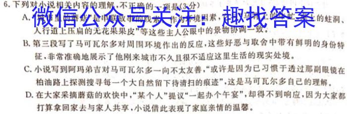 衡水金卷先享题摸底卷2023-2024学年度高三一轮复习摸底测试卷(二)语文