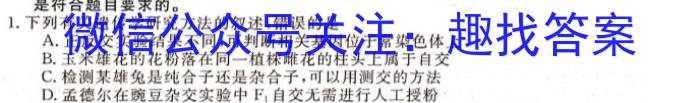 全国大联考2024届高三全国第一次联考 1LK-Y生物