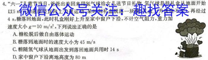 2024届河南省中考导向总复习试卷考前信息卷(一)数学