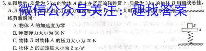 2024届成都石室中学2023-2024学年度下期高三诊模拟数学