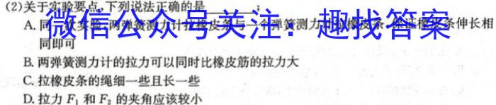 ［新疆大联考］新疆2024届高三11月联考数学考试卷