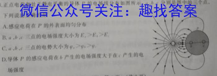 广西2024届“贵百河”11月高三质量调研联考数学