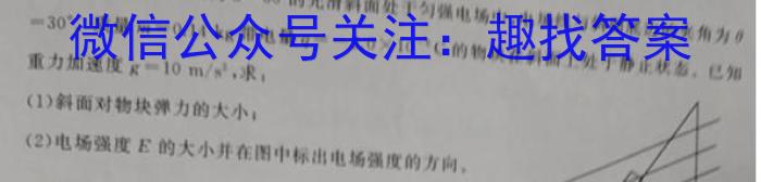 2024年普通高等学校招生全国统一考试 名校联盟·模拟信息卷(T8联盟)(四)4数学