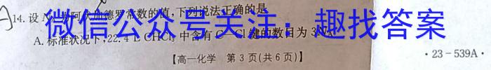 全国大联考2024届高三全国第一次联考 1LK-N化学