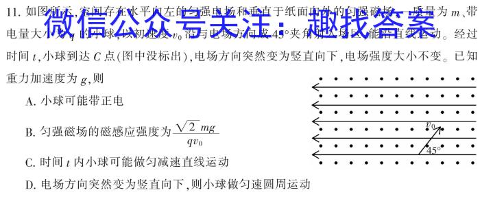 辽宁省2024-2025（上）8月月度质量监测暨第零次诊断测试数学