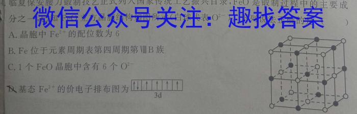 安徽省合肥市肥东县2024-2023学年第二学期七年级阶段性学情调研化学