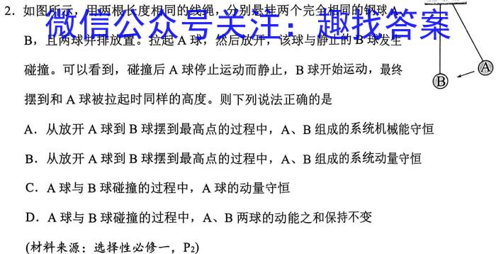 河南省2024年中招冲刺押题模拟卷(二)数学