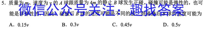 甘肃省2024届高三年级下学期2月联考（高三检测）数学