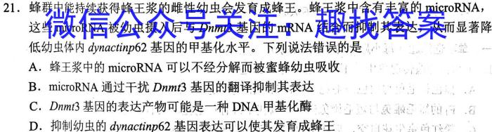 2024届炎德英才大联考雅礼中学高三月考(一)生物试卷答案