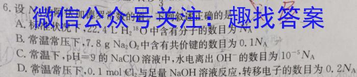 全国大联考2024届高三全国第一次联考 1LK-QG化学