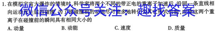 2024年普通高等学校招生全国统一考试·金卷