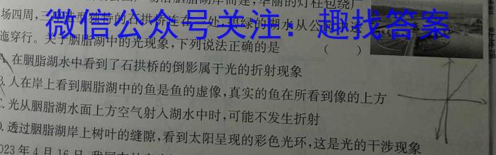 四川省2024届高三12月联考数学