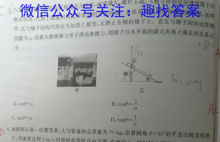 学科网2024届高三11月大联考考后强化卷(新课标卷)数学