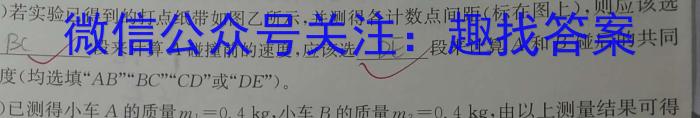 河北省沧州市某校2023-2024学年八年级下学期开学测试数学