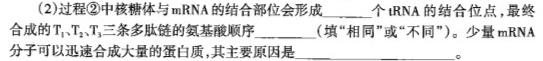 湖南省岳阳县第一中学2023-2024学年高三上学期入学考试生物