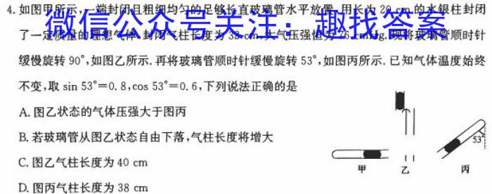 湖南省2024届高三5月适应性考试(试题卷)数学