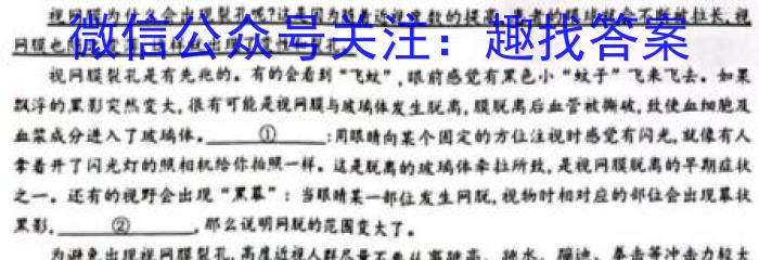 湖南省岳阳县第一中学2023-2024学年高三上学期入学考试语文