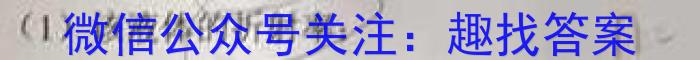 2024年普通高等学校全国统一模拟招生考试 金科 新未来11月联考数学