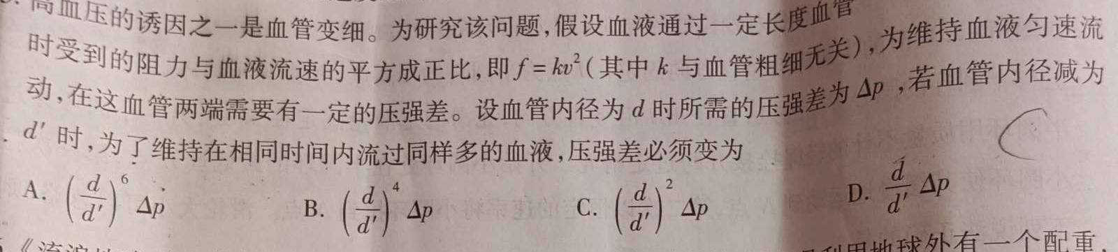 广东省五粤名校联盟2024届高三第一次联考数学.考卷答案