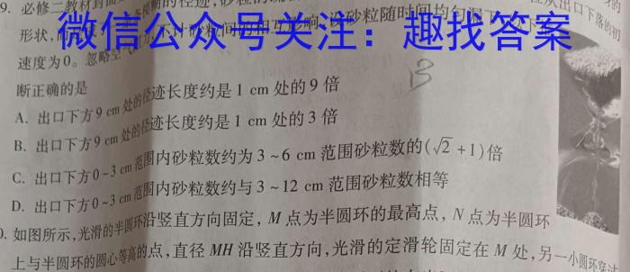 2024年河北中考模拟仿真押题(六）数学