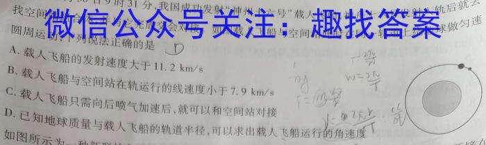 九师联盟2024届高三2月开学考（L）数学