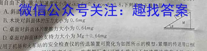 天宏大联考2024年河南省中招第一次模拟考试试卷数学