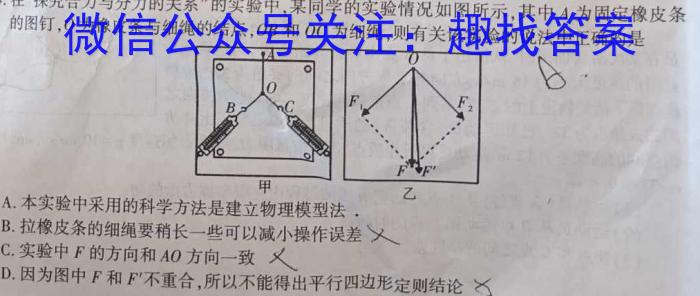 2024届高考滚动检测卷 新教材(五).物理