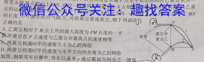 ［四川大联考］四川省2023-2024学年度高二年级上学期12月联考数学