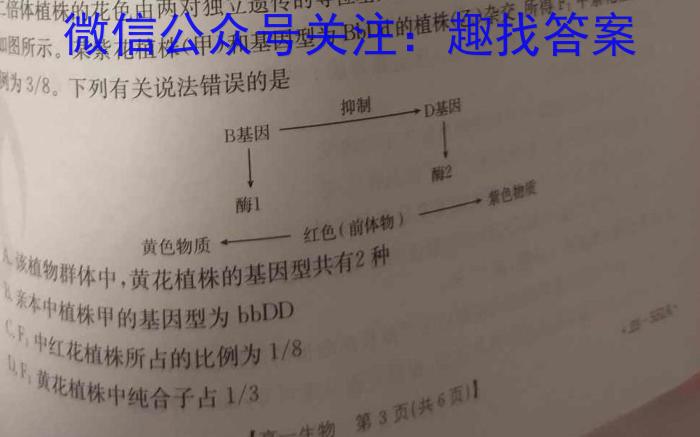 全国大联考 2024届高三第二次联考 2LK-qg生物试卷答案