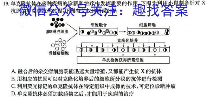 2024届名师原创分科模拟 新S4(七)生物试卷答案