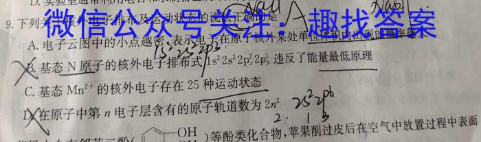 河南2024届高三年级8月入学联考(23-10C)政治试卷及参考答案化学