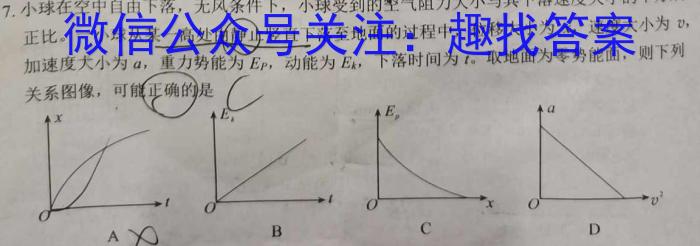 2024年衡水名师卷高考模拟信息卷(一)数学