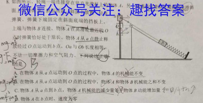 湖北省黄冈八模2024届高三模拟测试（二）数学