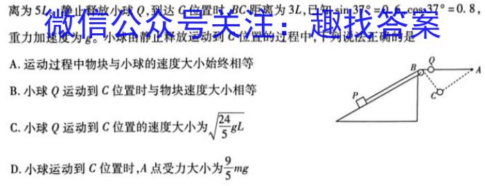 辽宁省辽南协作体2023-2024学年度高三第二次质量监测数学