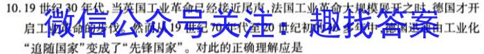 2024届浙江省强基联盟高三仿真模拟(一）23-FX13C历史