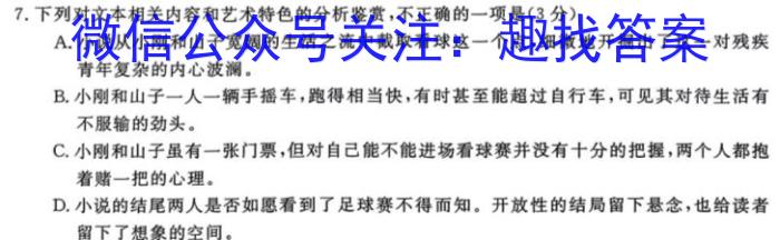 2024届名师原创分科模拟 新S4(七)语文