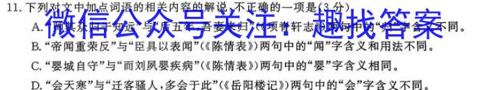 天一大联考·顶尖计划2024届高中毕业班第一次考试(老教材版)语文