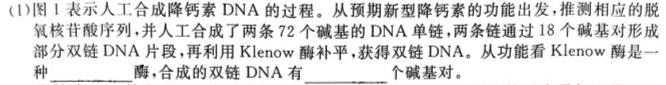 全国大联考2024届高三全国第一次联考 1LK-Y生物