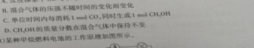 2024届高考滚动检测卷 新教材(五)化学