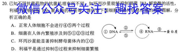 2024届广东省广州市高三8月调研（广州零模）生物试卷答案