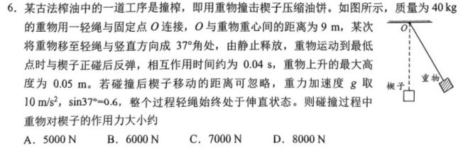 巴蜀中学2024届高考适应性月考卷（九）数学.考卷答案