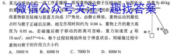 汉中市2023-2024学年度第二学期期末校际联考（高一）数学